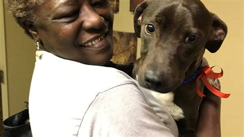 Caddo animal shelter - Caddo Parish Animal Services is a humane and community-oriented animal shelter that enforces the Parish of Caddo ordinances and laws on animal control and public health. …